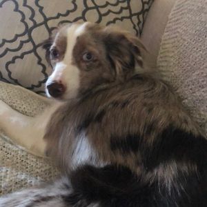 Meet your Posher, Jacob